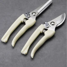 Ciseaux de cueillette de fruits pour plantes de jardin, outil de taille hydroponique, outil de jardinage