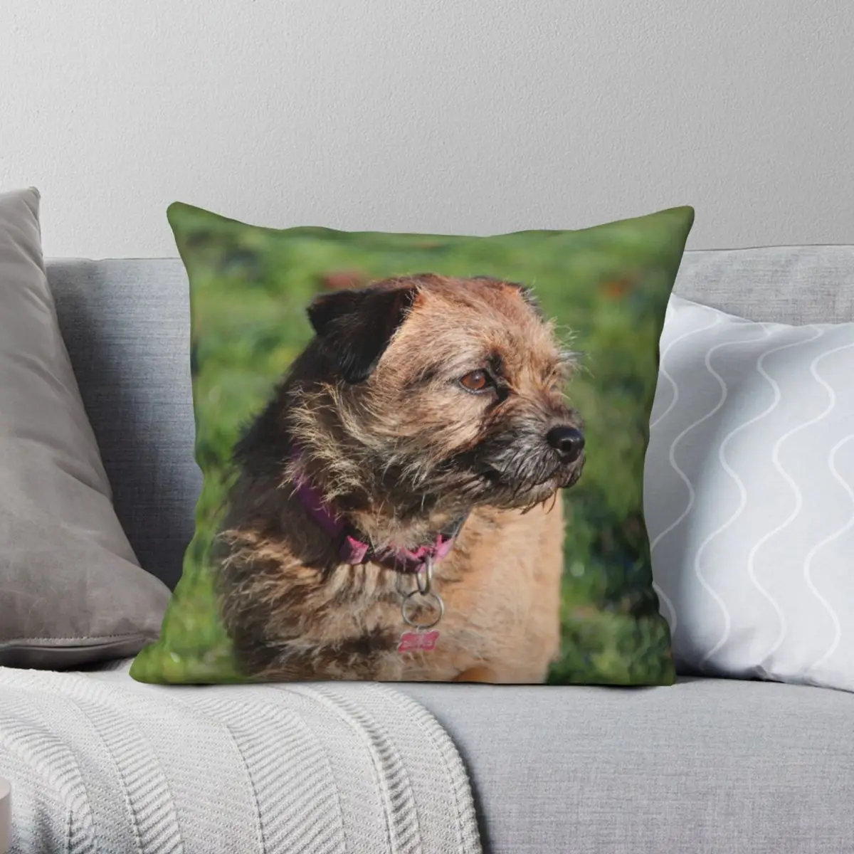 

Наволочка-Подушка Border Terrier из полиэстера и льна