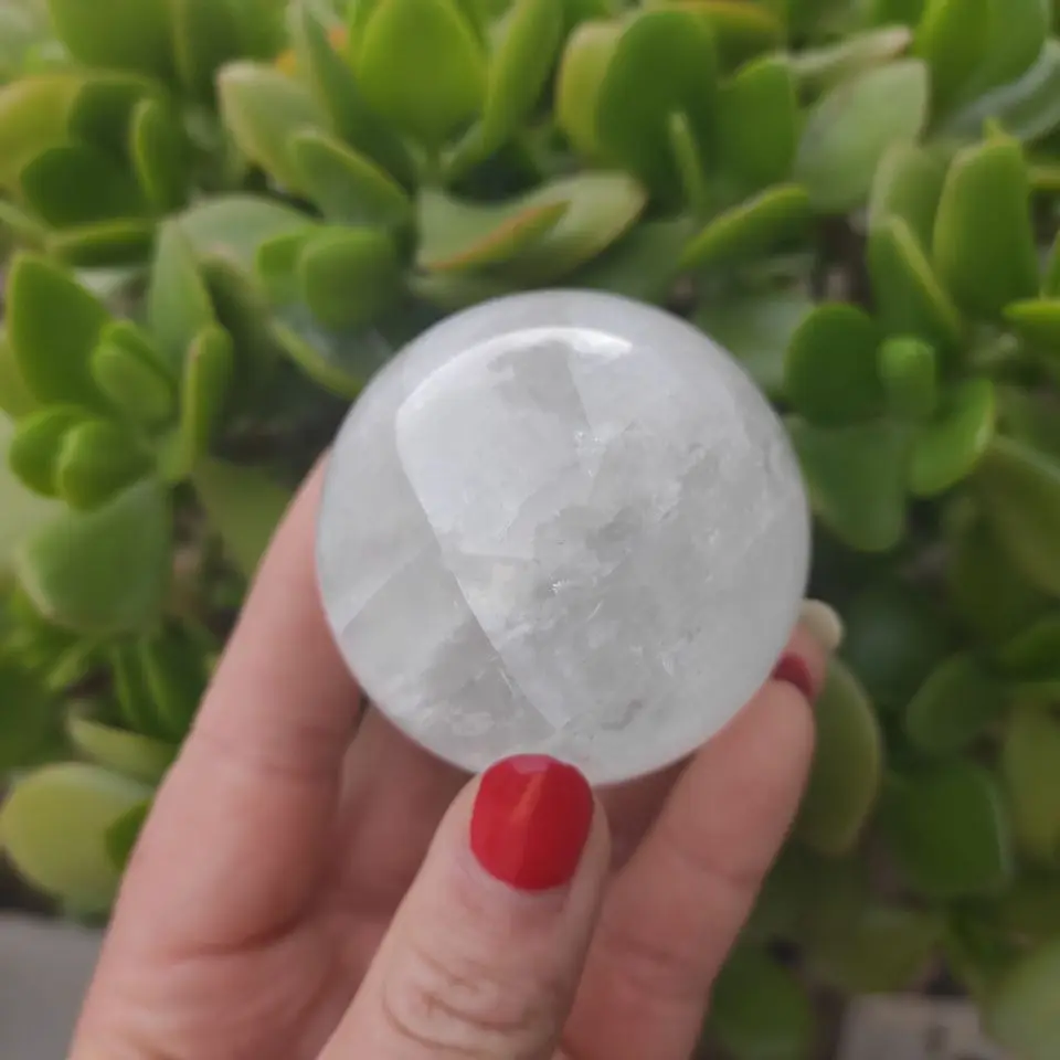 QQ图片20200517165011