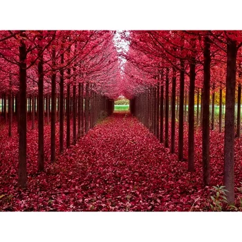 

5D Diy Diamond Painting Embroidery Cross Stitch Full Round Drill Maple Trees Diamond Dotz Kits For Adults Wall Art Home Decor 30