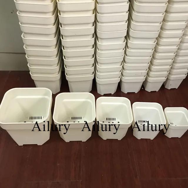 Négyzet Alakú Műanyag Kerek Vastag Zamatos Kis Fekete Növényi Virágcserepek, Fehér Zöld Ültetvények Cserepes Kert Bonsai Tartály - Image 3