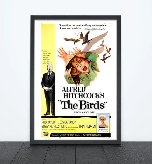 o-cartaz-dos-passaros-hitchcock-henri-hitchcock-t-shirt-os-p-ssaros