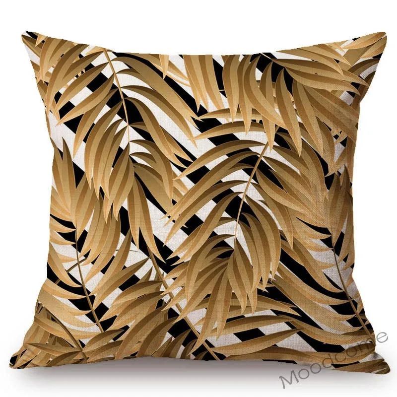 conew_n344 (2) 副本