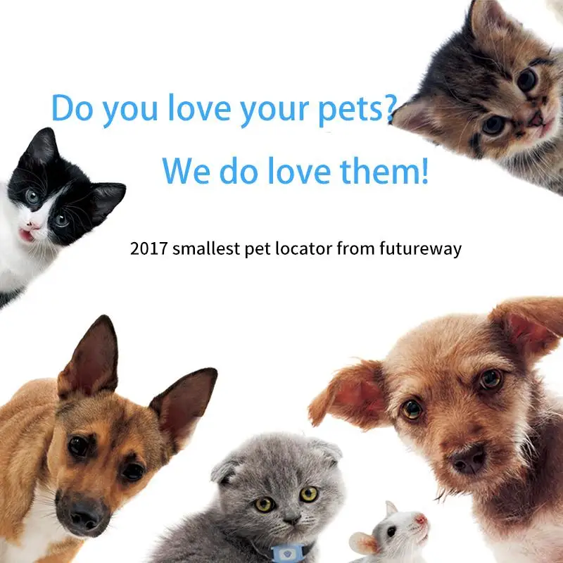 Pet gps трекер для собак ошейник для собак кошек gps Функция трекер с gps для домашнего животного водостойкий usb зарядка домашних щенков поставщиков