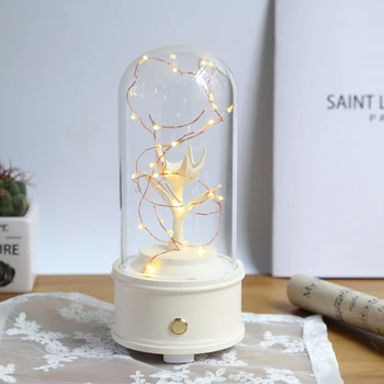 

Creative Bluetooth Music Box o with Lamp Glass Cover DIY Crafts Home Bedroom Wedding Decoration Birthday Valentine's Day Gif