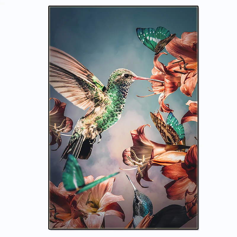 Hummingbird poster