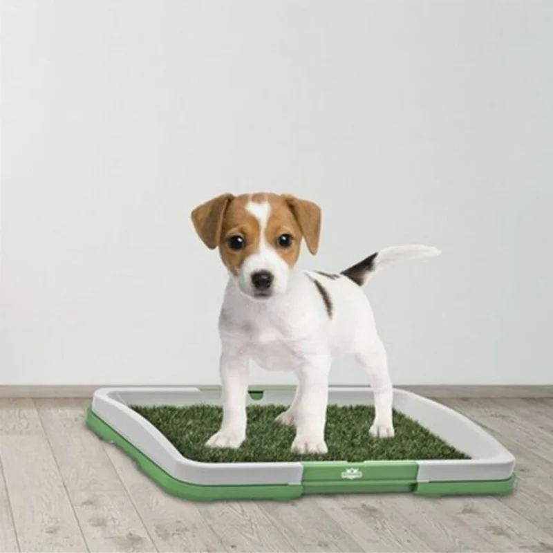 

Lattice Poop Toilet for Pets, Dog Toilet Trays, Puppy Mats, Urinating Training Box, Pet Supplies