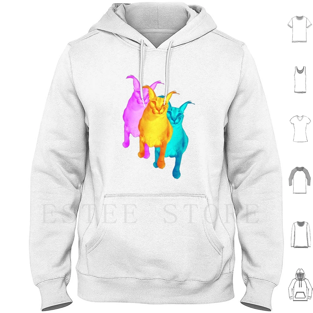 Grande floppa meme bonito caracal gato com capuz moletom masculino/feminino  unissex oversized hoodie caras bonito all-match preto pulôver hoodies -  AliExpress