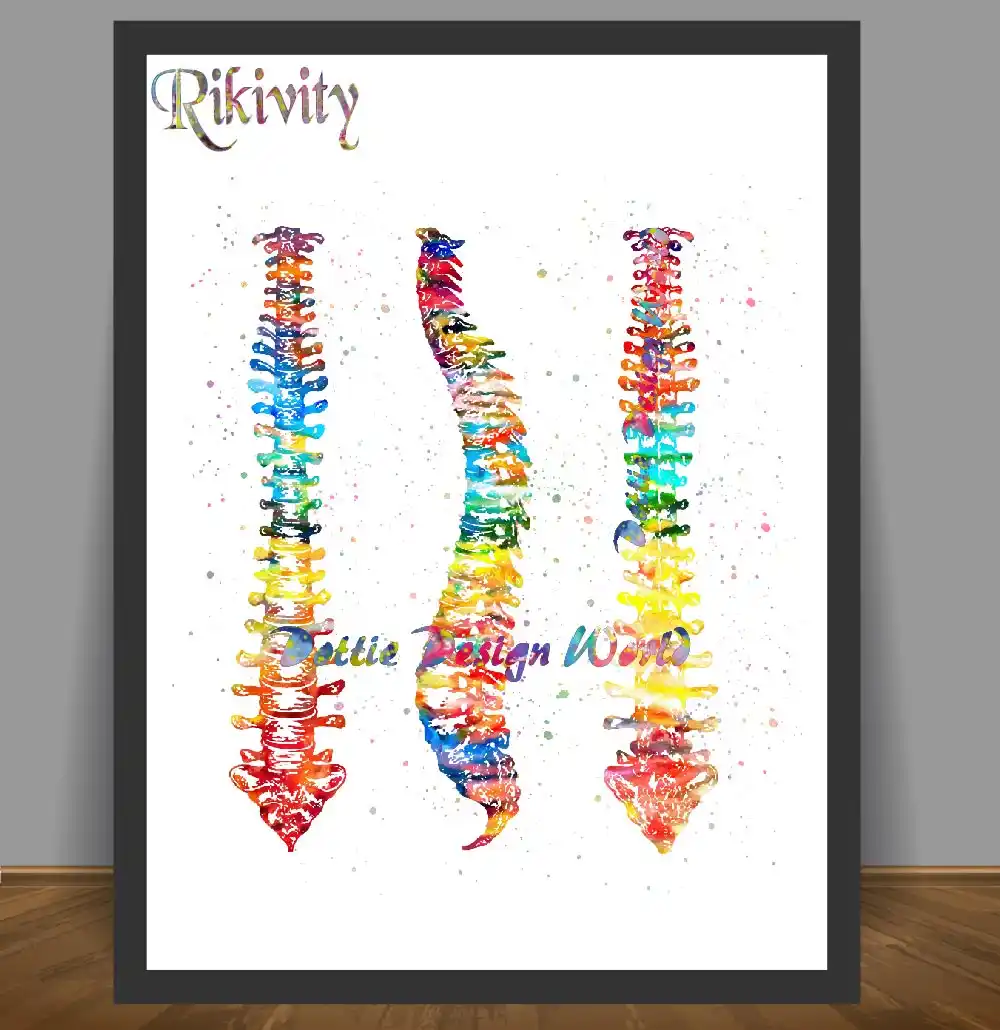 Rikivity Anatomy Art Poster Prints Human Spine Cord Canvas