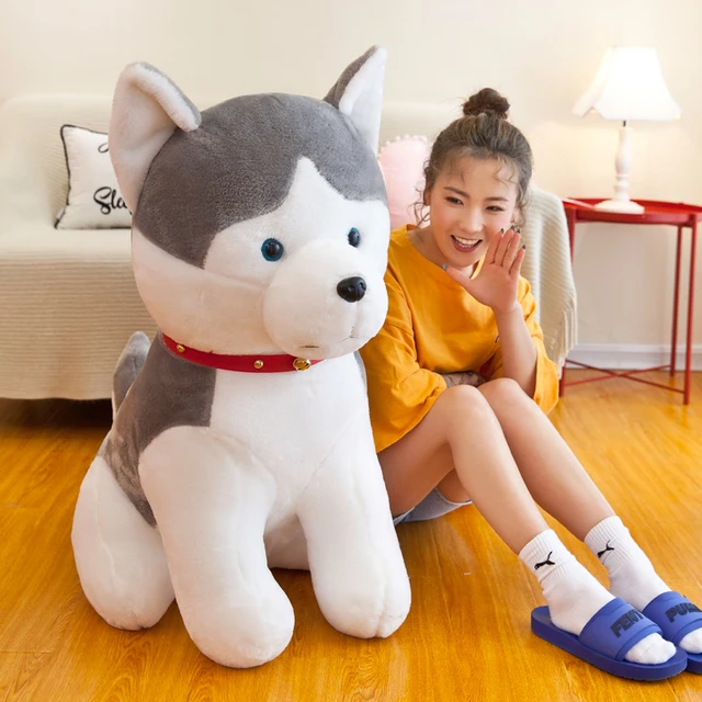 peluche husky gigante