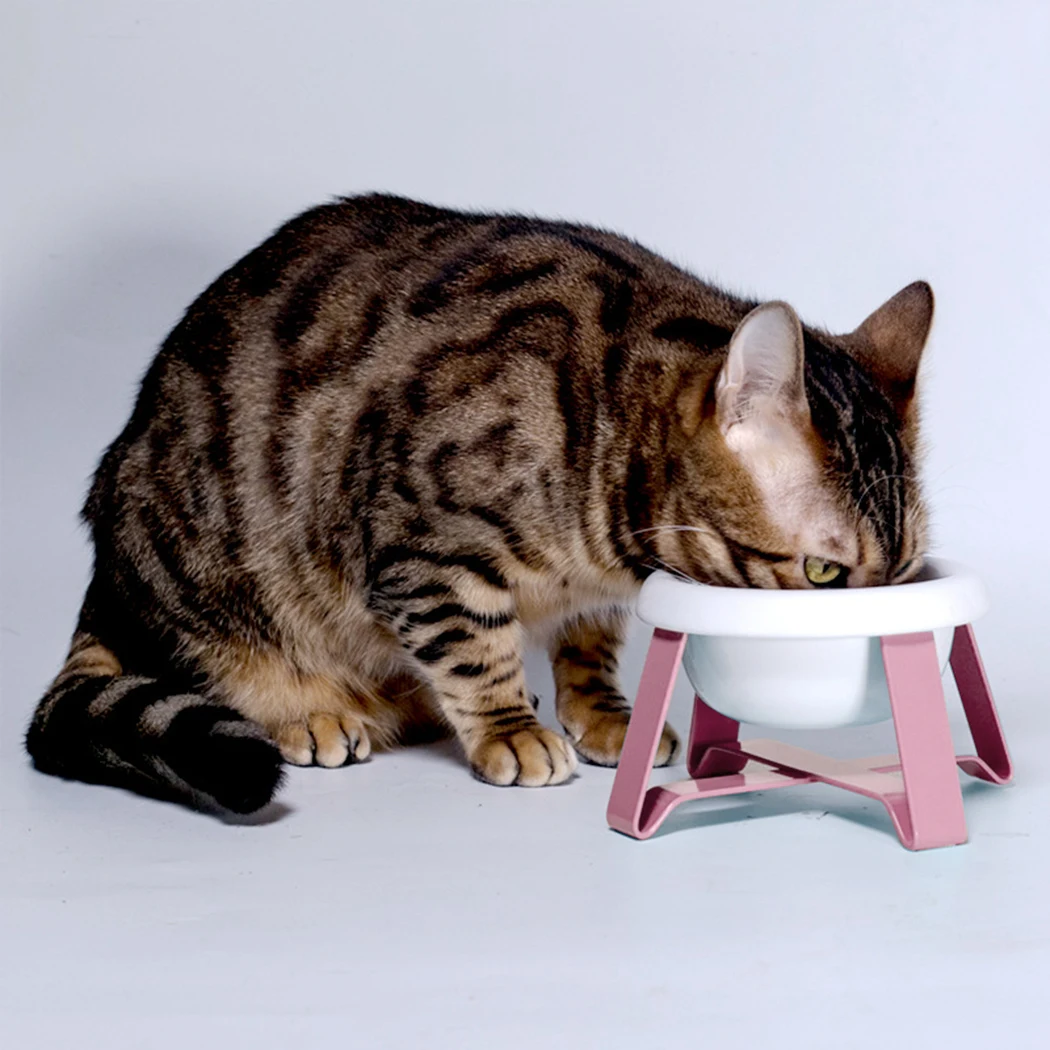 

Pet Bowls 2 In 1 Pet Food Water Feeder Creative Antislip Cat Feeding Bowl Cat Food Bowl With Iron Stand Pet Feeding Supplies