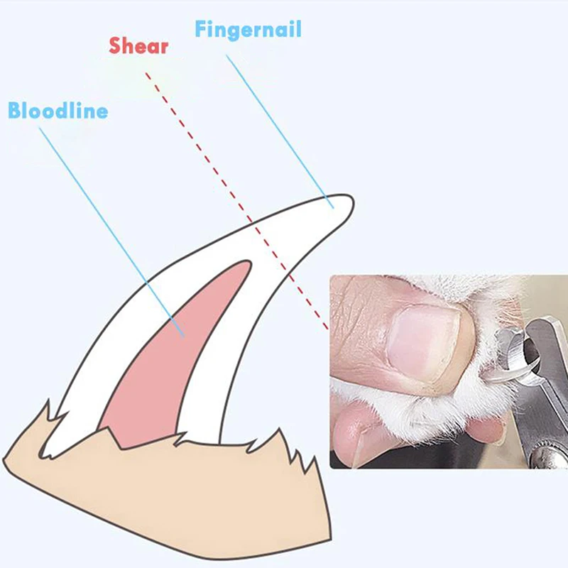 Professional Pet Cat Dog Nail Clipper Cutter Stainless Steel Grooming Scissors Clippers Claw Nail Scissors With Lock