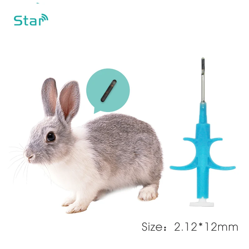 

Fdx-B Engraved Pet Id Tags Bio Glass Transponder Mini Chip 1.25x7mm 1.4x8mm 2x12mm With Applicator Needle Syringe For Animal Dog