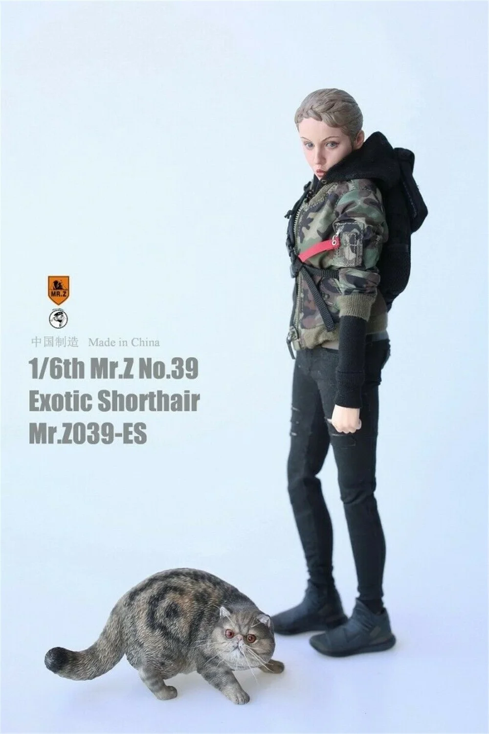 1/6 экзотическая короткошерстная кошка 6 цветов Mr. Z имитация животного 39th Bomb MRZ039 модель для 1" фигурка куклы