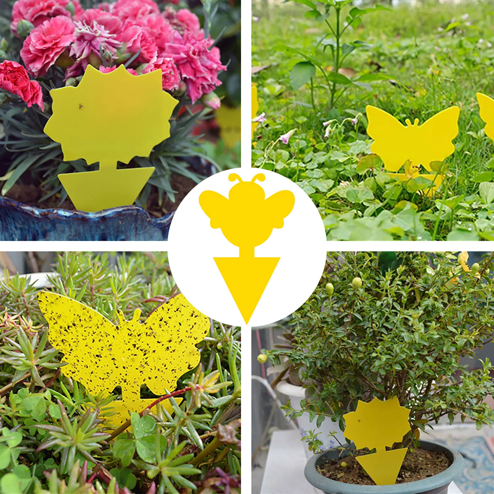 Trampa pegajosa de doble cara para moscas y bichos, para balcón, jardín, planta voladora, trampa para insectos, suministros de jardinería, n. ° 10