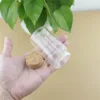 6 Piece 47*80mm 90ml Cork Glass Bottle Stopper Spicy Storage Jar Bottle Containers Glass spice candy Jars Vials DIY Craft 3