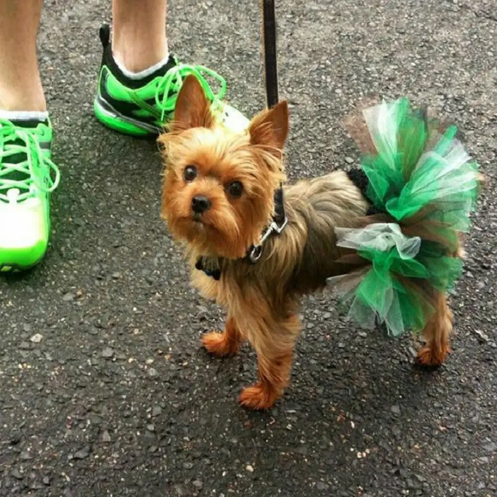 Платье-пачка с бантом для собаки; кружевная юбка; щенок собачка; костюм принцессы для кошки; одежда; s-xl