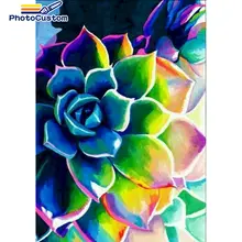 PhotoCustom Paints By Number Colorful Succulents Drawing On Canvas HandPainted Paint Plant Art Gift DIY Art Gift DIY Pictures