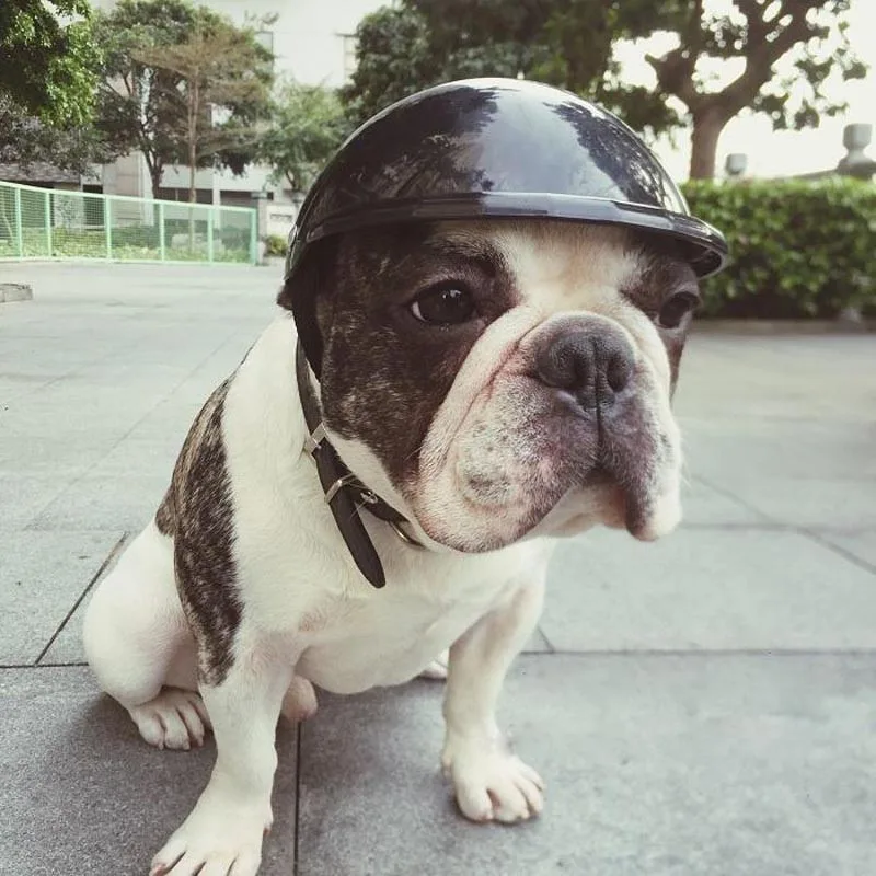 Pet Забавные крутые мотоциклы велосипедный шлем регулируемый головной убор шапка для собак для защиты от солнца и дождя