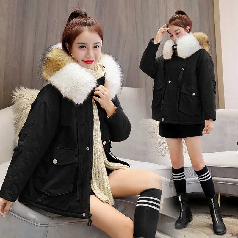 

Cotton-padded Clothes Women's Short 2019 Winter New Style WOMEN'S Dress Loose-Fit Slimming Thick down Jacket Cotton-padded Cloth