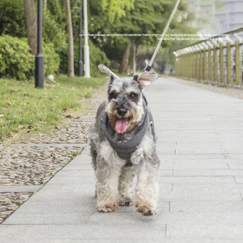 Adjustable Pet Dog Harness Cotton Breakaway Dogs Vest Collar Small Large Chihuahua French Bulldog Dog Accessories Dropshipping