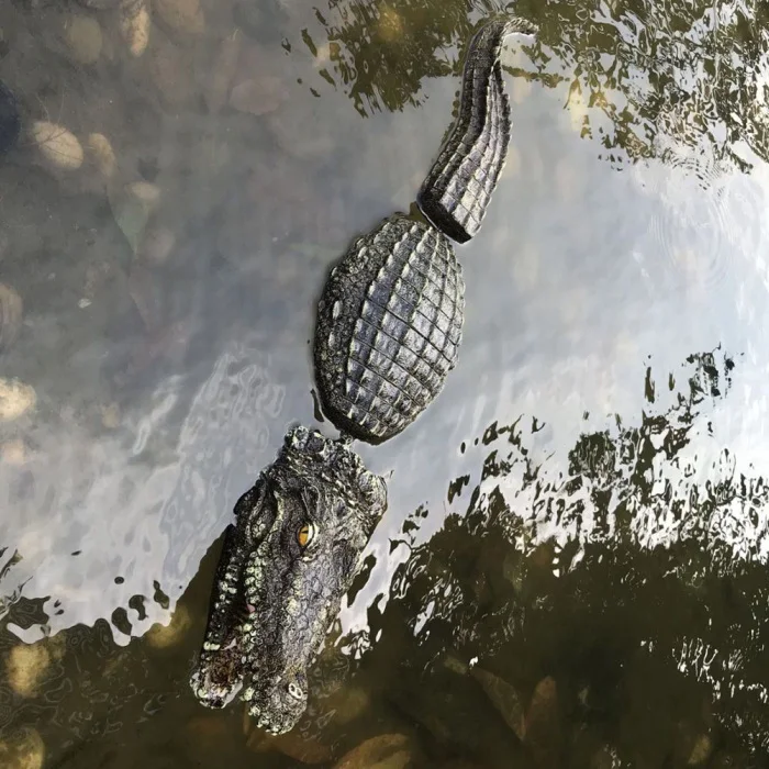 3 шт./компл. искусственный высокое качество плавающая смолы крокодилов для пруд для садовых прудов украшения LBShipping