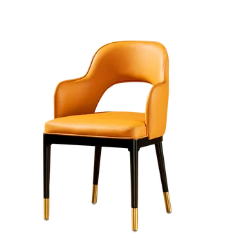 

Nordic Dining Chair Postmodern Minimalist Chair Dining Room Chair Home Leisure Light Luxury Wind American Stool Metal