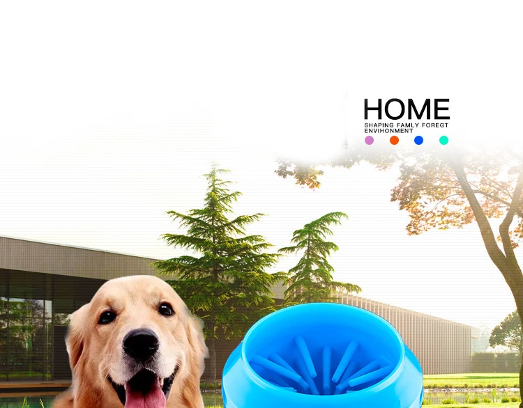 10306955017_796842111