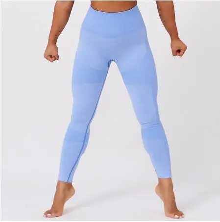 CB1200 blue pant Женский спортивный костюм, комплект для йоги, бесшовная одежда для фитнеса, спортивная женская спортивная одежда, леггинсы, спортивный пуш-ап, бюстгальтер, 2 шт., спортивные костюмы - Цвет: CB1200 blue pant