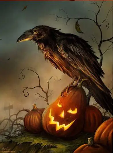 HTB1YB8Wv8yWBuNkSmFPq6xguVXai