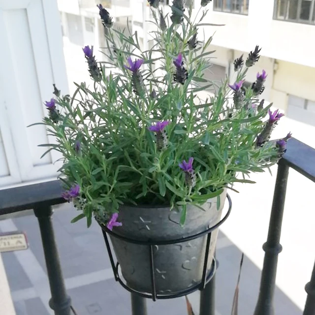 Függő Növényi Vasállványok Erkély Kerek Virágcserépes Korlát Kerítés Kültéri Dorp Hajózási Edényállvány - Image 5