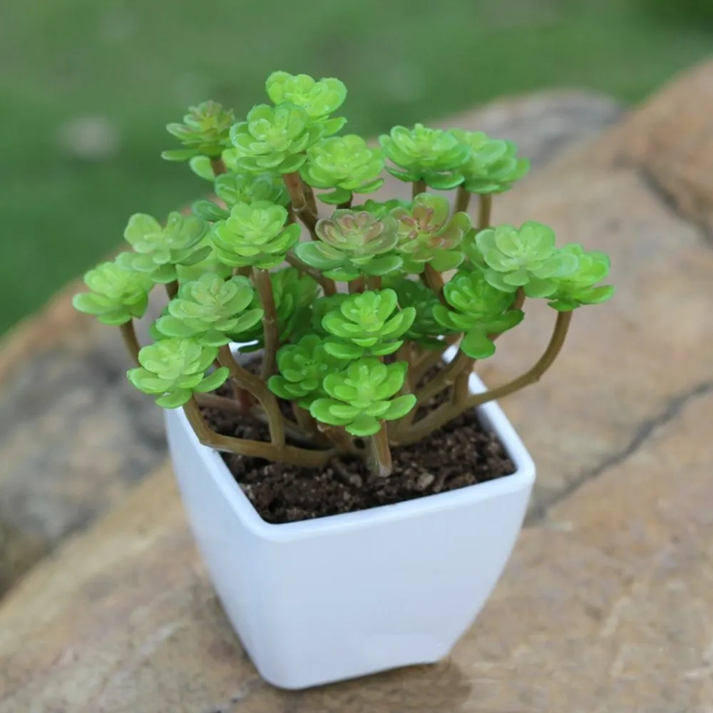 Миниатюрные суккуленты Моделирование Мини DIY пластиковые растения офисный Декор сад домашний декор нежный подарок