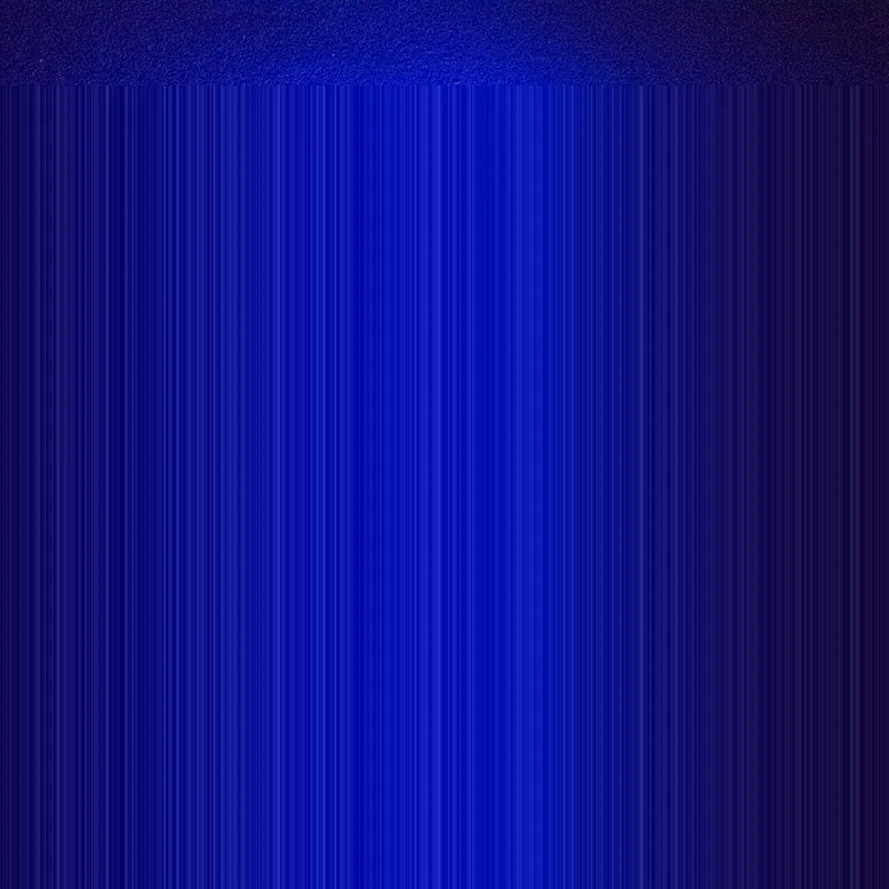 DSC0010