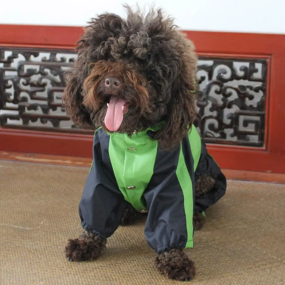 Дождливый день плащ для собак водонепроницаемый комбинезон с капюшоном Золотая куртка для ретривера для собак кошек верхняя одежда