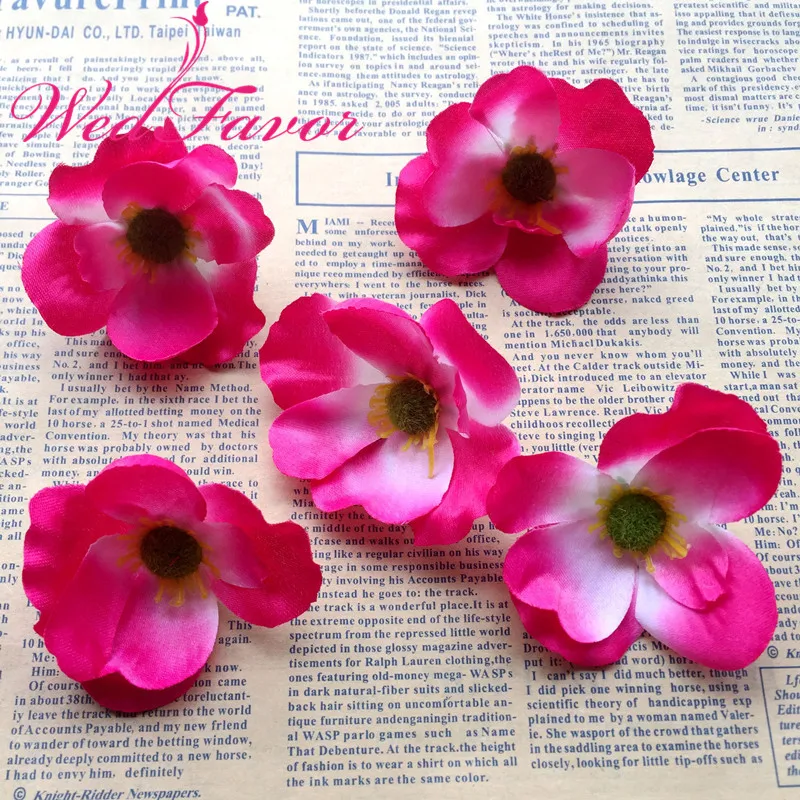 IMG_2089_副本_副本_副本