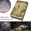 Miniature model  Chenopodium spinosum  Train sand table  War scene model  DIY transformation materials 1