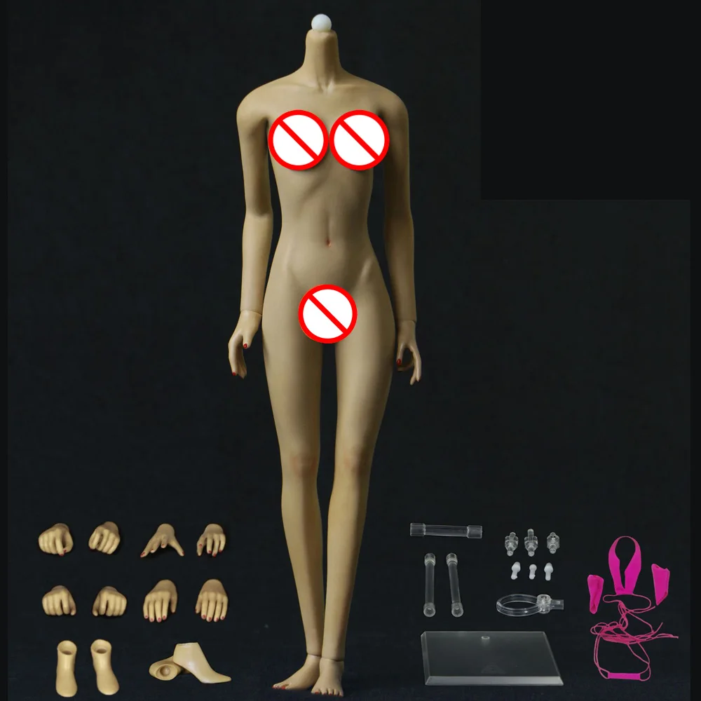 

Plastics Middle Bust Female Body Doll 1/6 Seamless Steel Skeleton Detachable
