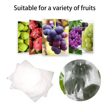 

Grape Protection Bags For Fruit Vegetable Grapes Mesh Control Insect Bag Waterproof Anti-Bird Pouch Against Garden Pest