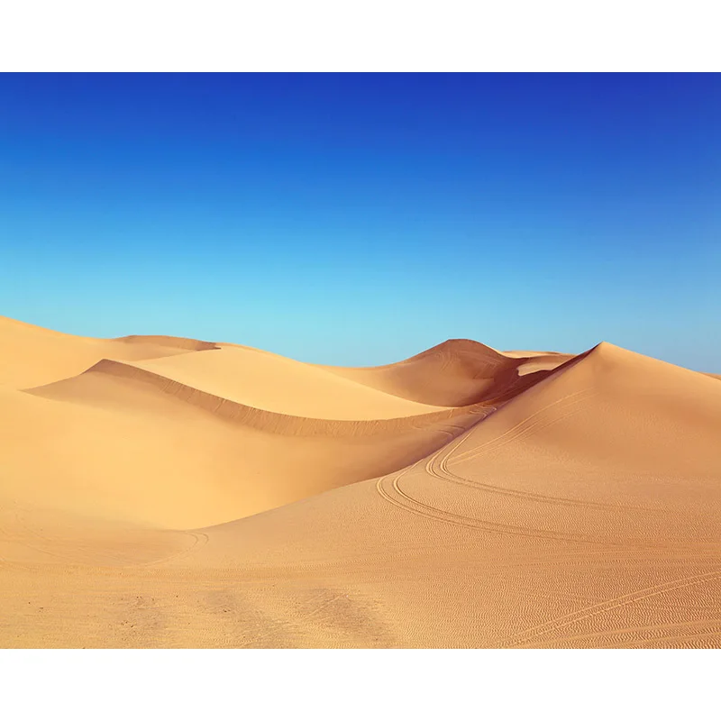 

Desert Oil Painting By Number Landscape Picture For Drawing Color Paint Kits Out By Number On Canvas With Framed Wall Decoration