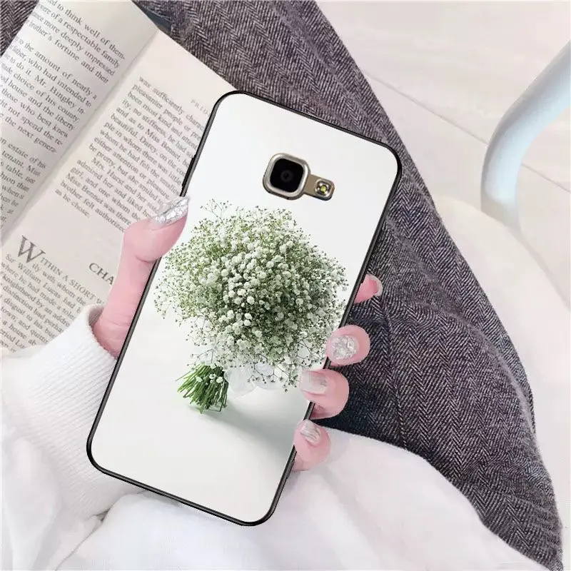 Beautiful flower Gypsophila