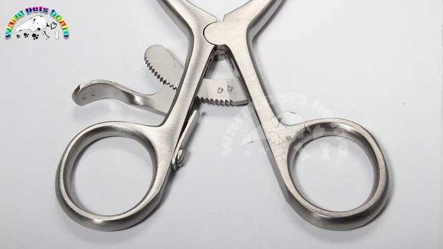 Retractor Gelpi | Instrumentos Ortopédicos General - Foto 8