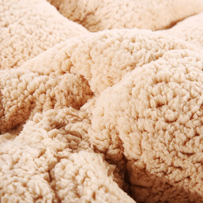 Details about  / 1PCS lamb cashmere plus velvet fabric warm winter wool quilt thickening 2021