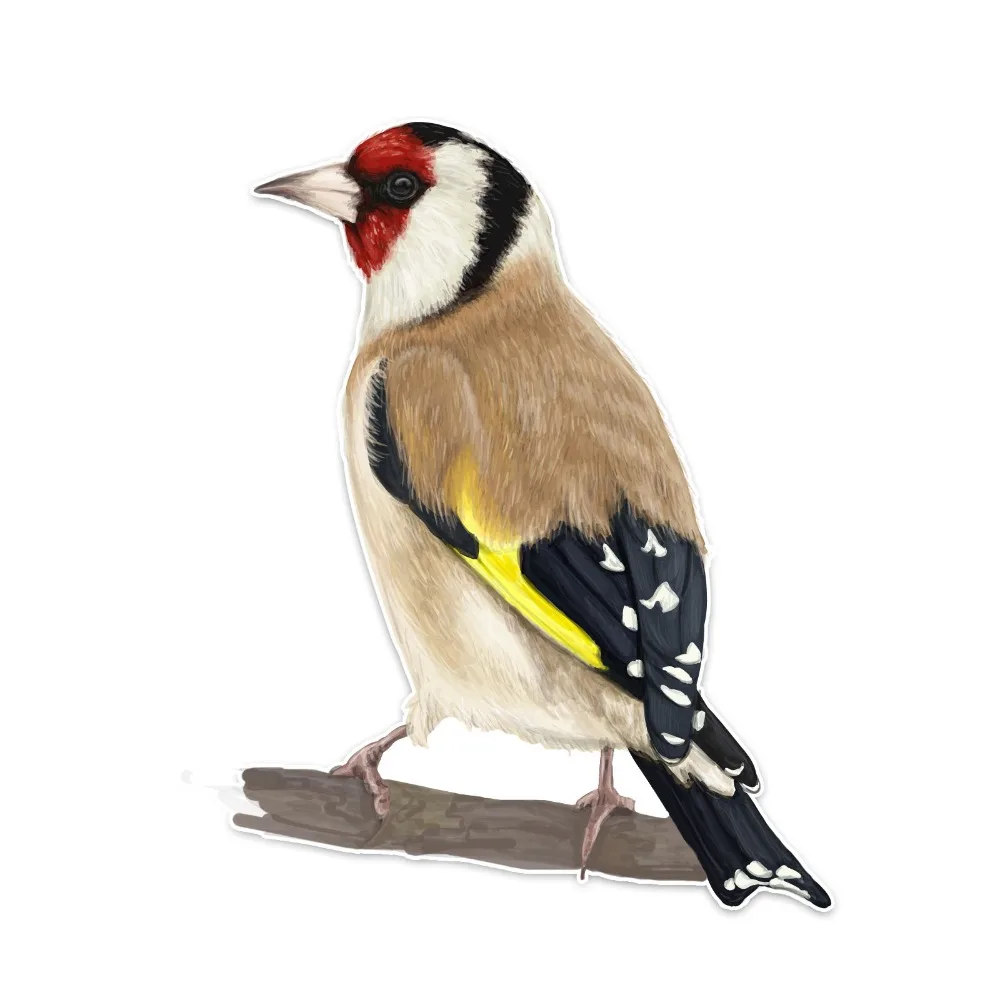 

Car Sticker Funny Decoration Cartoon Cute Creative Birds Accessories Personalized Waterproof Reflective PVC Decal,14cm*10cm