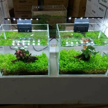 

New 5W Ultra-thin Aquarium LED Light Ultra Bright Clip-on Aquarium Lighting Lamp 12pcs 5730 LEDs for Aquarium Fish Tank EU Plug