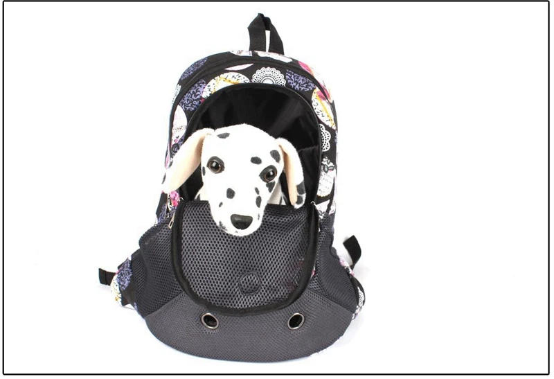 pet carrier (10)