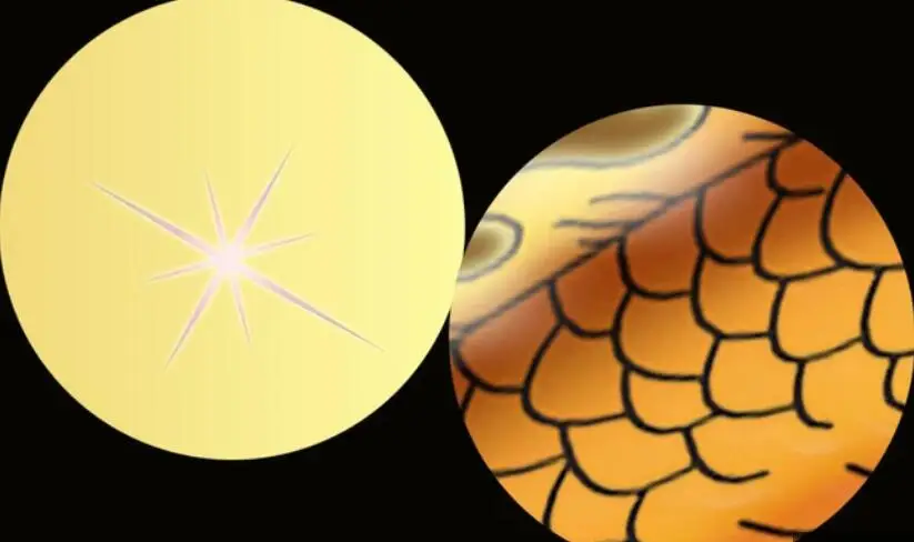 QQ截图20200522131944