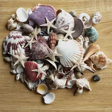 100 шт смешанные морские раковины Свадебные украшения пляж тема вечерние, морские украшения дома, аквариум, морская звезда