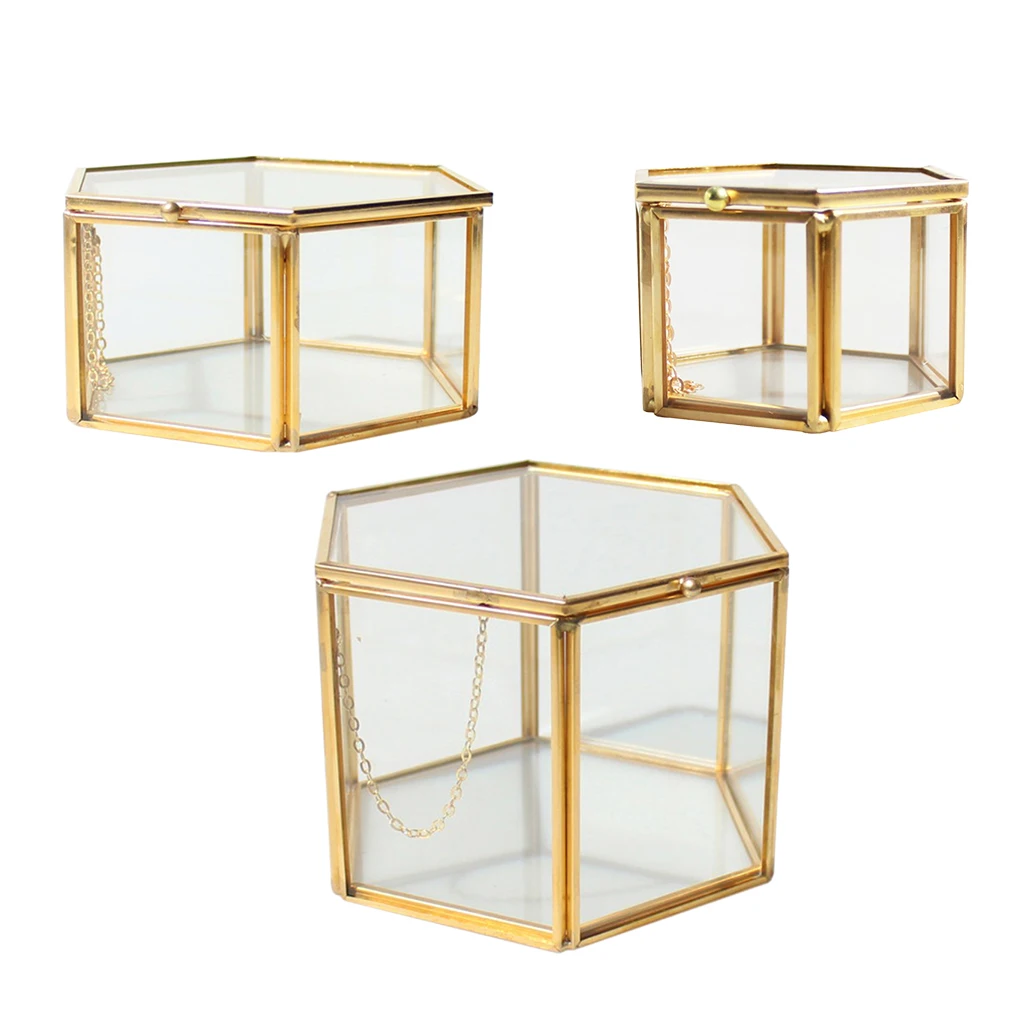 Modern Hexagon Clear Glass Brass Geometric Terrarium Fern Moss Air Plant Display Case Art Home Garden Decor