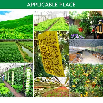 

20Pcs Sticky Fly Trap Paper Yellow Traps Fruit Flies Insect Glue Catcher Sticky Boards 20*12.5cm High Quality