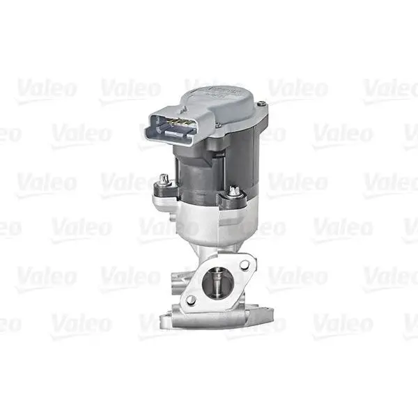 Клапан рециркул.отраб.газов Peugeot 307 VALEO 700411